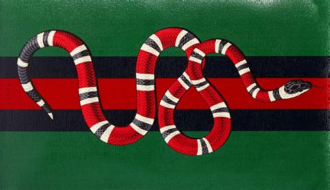 snake gucci design|gucci snakes.